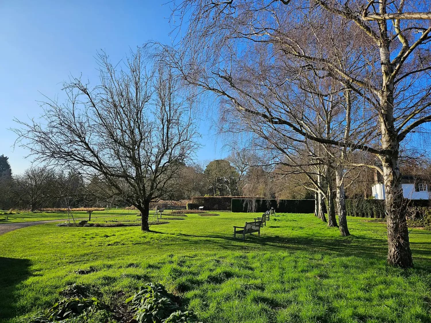 Cambridge Botanic Garden Photography Permit: How It Works