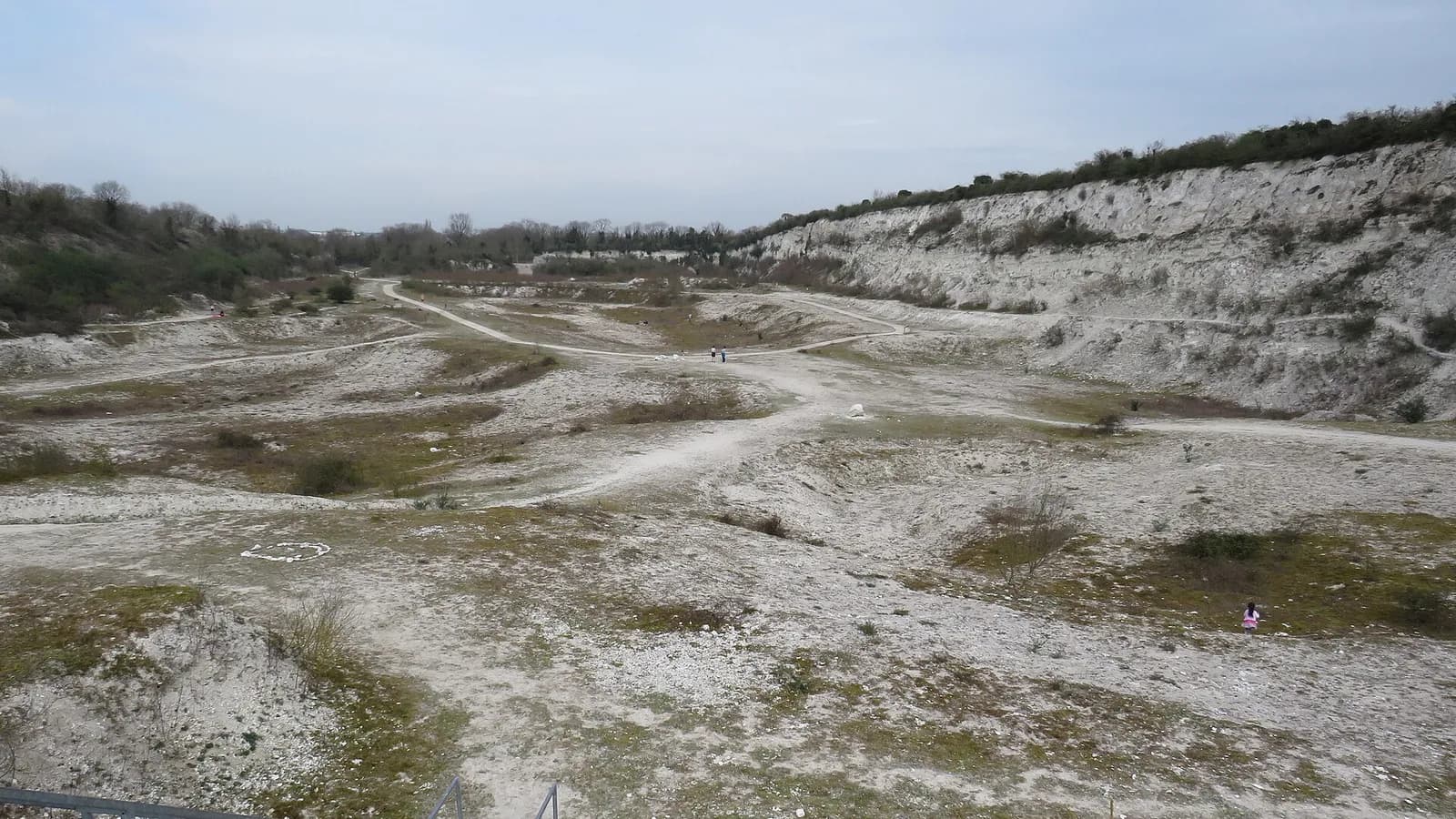 The white chalk faces and grassland of Cherry Hinton chalk pits near Cambridge